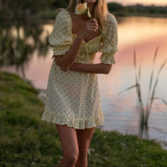 Faithful The Brand Sage Mini Dress Santa Maria Floral Print - Picture 1 of 11